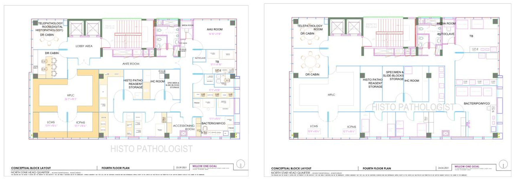 Northstar Pathology Labs SDR and Joint Measurement